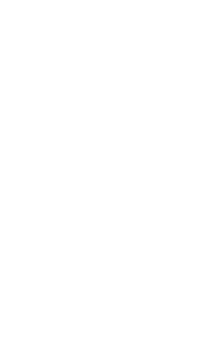 Original Silver Star sparkle element